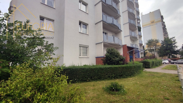 Mieszkanie Wynajem Łódź Polesie Sandomierska 15