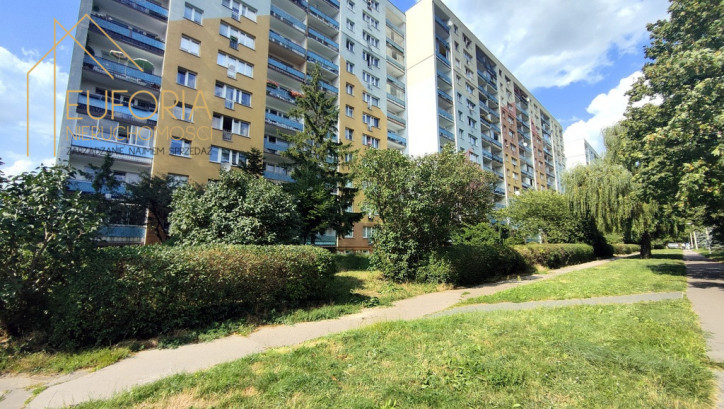 Mieszkanie Wynajem Łódź Polesie 14