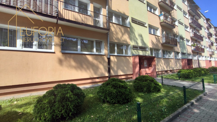 Mieszkanie Wynajem Łódź Rojna 14