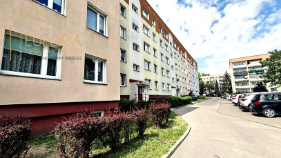Mieszkanie Wynajem Łódź Łódź-Widzew Stanisława Czernika